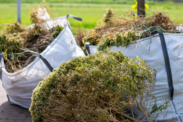 Professional Junk Removal Services in Windermere, FL